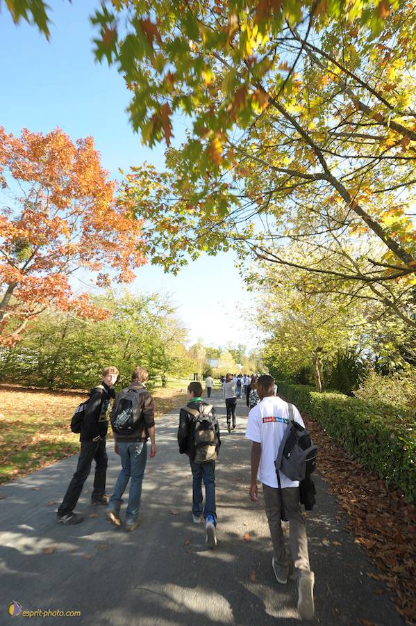 Nom de l'image : D30083819_1_(c)Norbert-JUNG — Description :